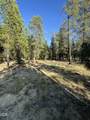 52886 Wayside Loop - Photo 14