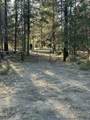 52886 Wayside Loop - Photo 3