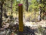52886 Wayside Loop - Photo 6