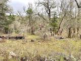 685 King Mountain Trail - Photo 5