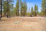16319 Black Tail Lane - Photo 7