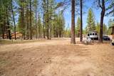 16319 Black Tail Lane - Photo 9