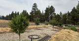 23615 Bliss Road - Photo 3