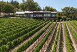 15 Vineyard View Circle - Photo 86