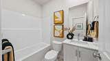 21244 Pelee Drive - Photo 11