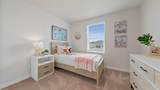21244 Pelee Drive - Photo 13
