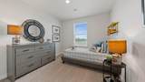 21244 Pelee Drive - Photo 14
