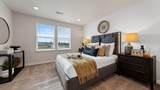 21244 Pelee Drive - Photo 17