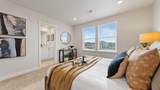 21244 Pelee Drive - Photo 18