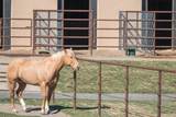 11698 Pinedale Lane - Photo 75