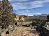 11698 Pinedale Lane - Photo 80