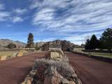 11698 Pinedale Lane - Photo 81
