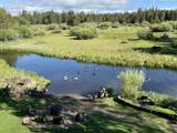 54641 Silver Fox Drive - Photo 92