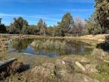 25405 Bear Creek Road - Photo 37