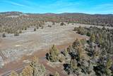 25405 Bear Creek Road - Photo 55