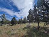 01500 Osprey Road - Photo 3