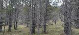 01500 Osprey Road - Photo 4