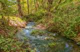 1848 Anderson Creek Road - Photo 4