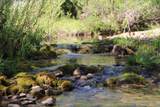 24100 Evans Creek Road - Photo 14