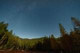 24100 Evans Creek Road - Photo 73