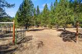 24100 Evans Creek Road - Photo 99
