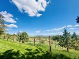10799 Pat Drive - Photo 46