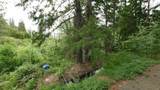 769 Mather Road - Photo 39