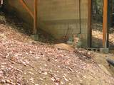 939 Beaver Creek Road - Photo 5