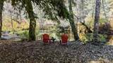 52 Dodes Creek Road - Photo 68