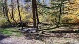 52 Dodes Creek Road - Photo 77