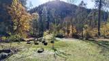 52 Dodes Creek Road - Photo 78