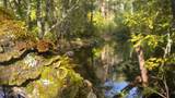 52 Dodes Creek Road - Photo 86