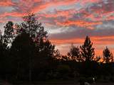 179 Highland Meadow Loop - Photo 7