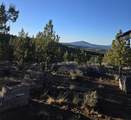 20102 Osprey Road - Photo 3