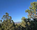 20102 Osprey Road - Photo 4