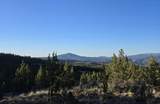 20102 Osprey Road - Photo 5