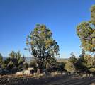 20102 Osprey Road - Photo 6