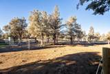 7672 Robin Drive - Photo 56