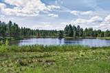 57335 Lake Aspen Lane - Photo 4