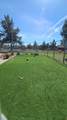 6710 Jake Road - Photo 32