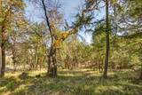 145 Lomas Road - Photo 69