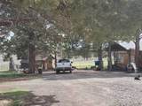 17703 Fishhole Creek - Photo 10
