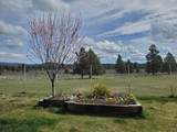 17703 Fishhole Creek - Photo 11