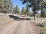 17703 Fishhole Creek - Photo 21