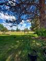 17703 Fishhole Creek - Photo 22
