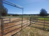 17703 Fishhole Creek - Photo 8