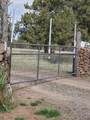 17703 Fishhole Creek - Photo 9