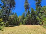 707 Mcmullen Creek Road - Photo 37