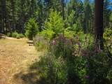 707 Mcmullen Creek Road - Photo 38