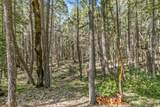 707 Mcmullen Creek Road - Photo 45